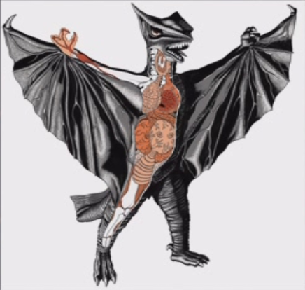 File:Gamera - 3 - vs Gyaos - 99999 - 30 - Gyaos Biology.png